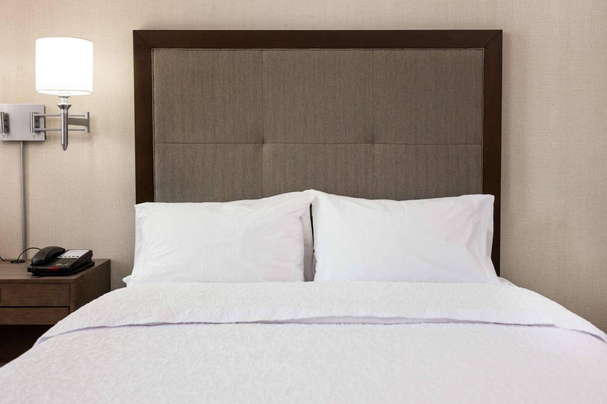 Hampton And Downtown Hotel La Crosse